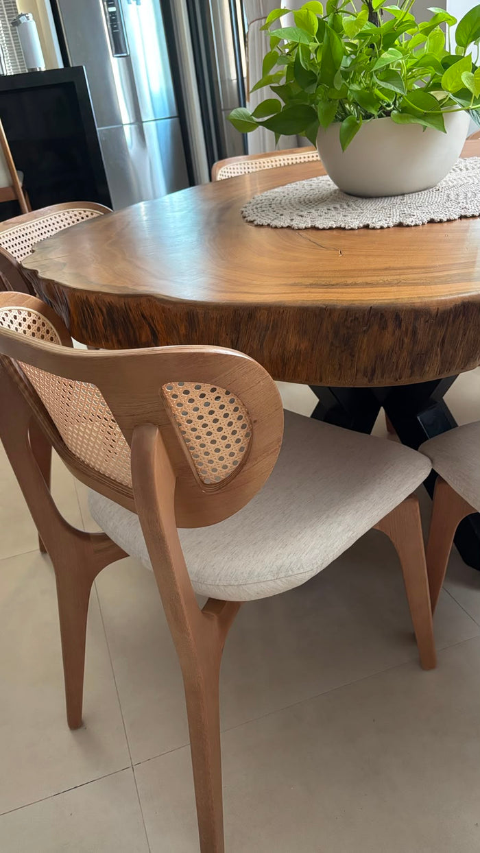 Elenise Tiecher — ambiente do projeto