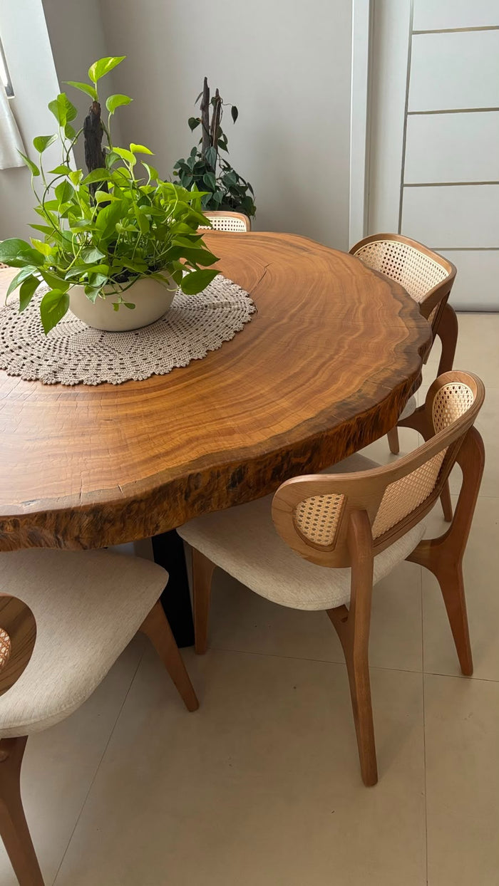 Elenise Tiecher — ambiente do projeto