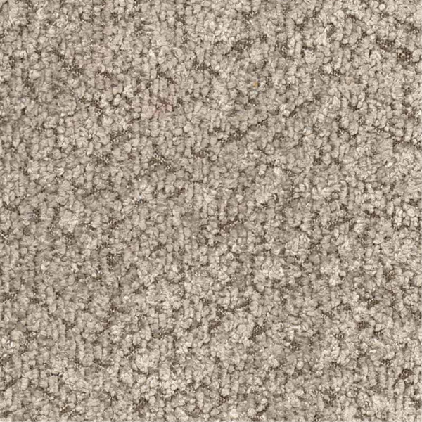 Boucle Sheep Gold Cod 312