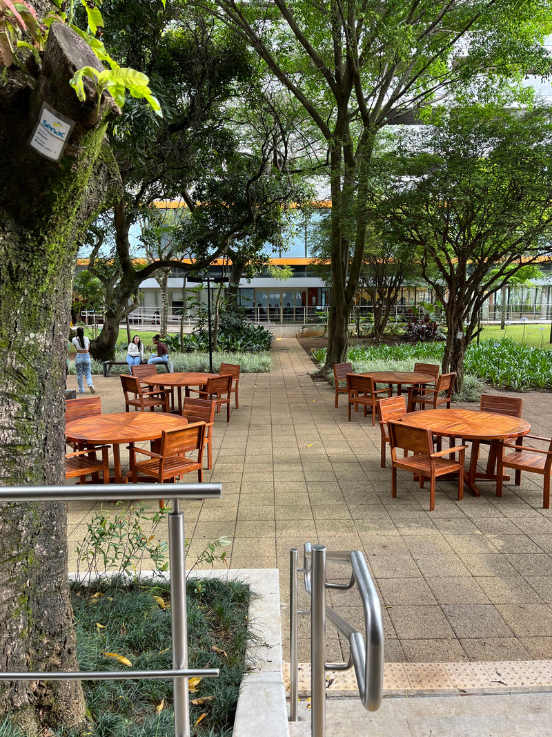 Senac Solid Wood Armchair Chair