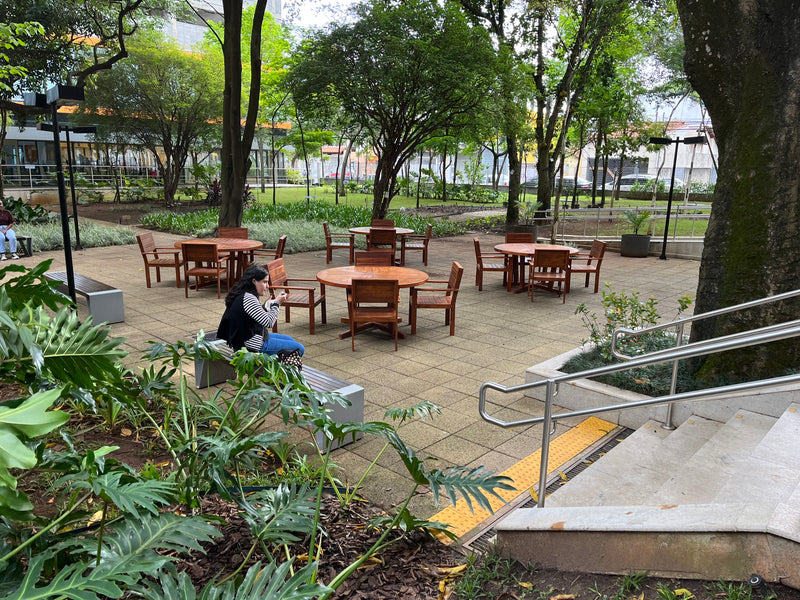 Senac Solid Wood Armchair Chair