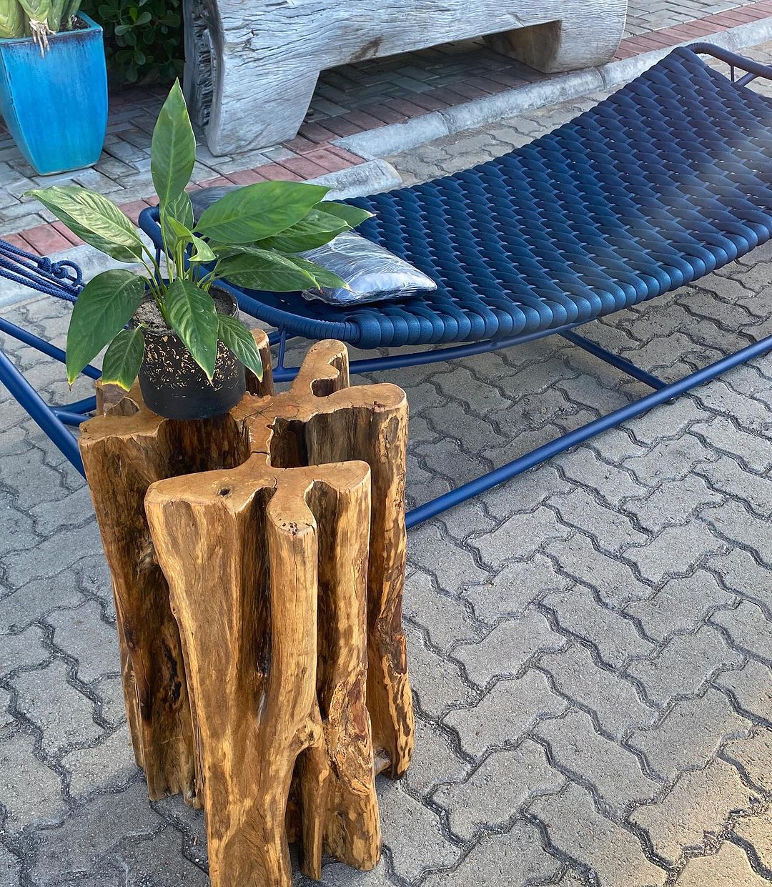Raiz Guarantã Solid Wood Table Base